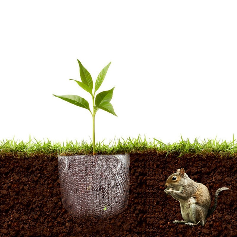 Coșuri de protecție pentru rădăcină Coșuri Gopher Plasă de sârmă Gopher Protector pentru rădăcini pentru plante Coșuri viteză din sârmă din oțel inoxidabil