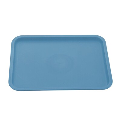 Πολύχρωμος Πλαστικός Δίσκος Τροφίμων Τηγάνι Ψωμιού Nordic PP Dessert Pallet Rectangular Storage Hotel Service Δίσκος Οικιακά Προμήθειες κουζίνας