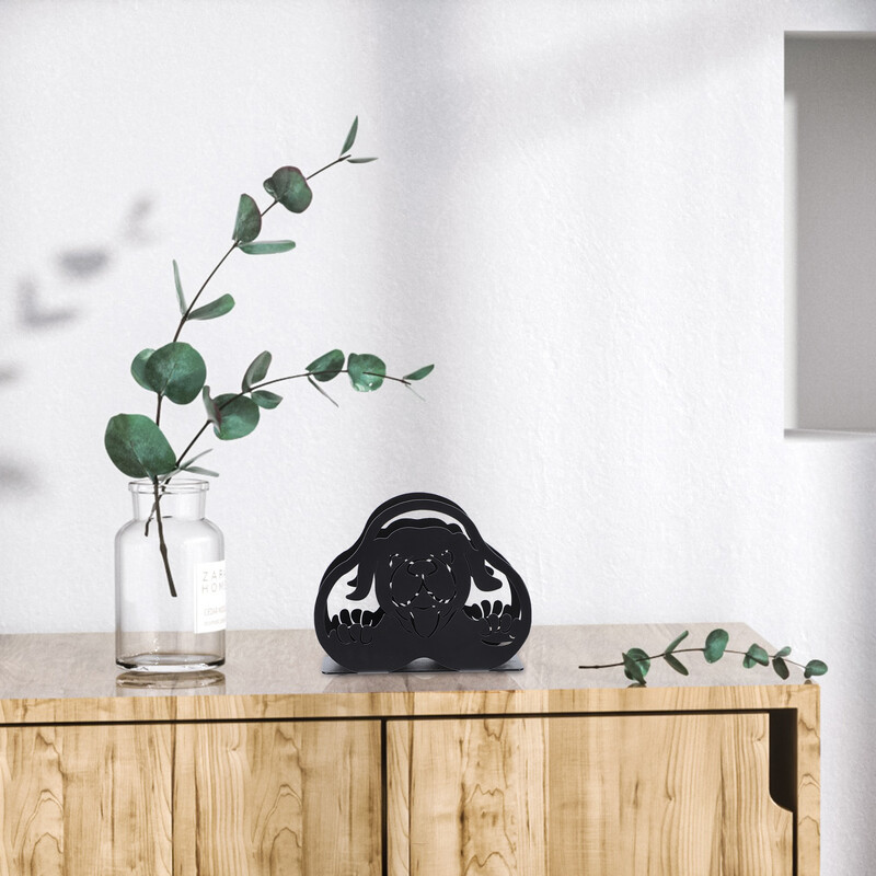 Paberrätikuhoidja Peen salvrätikujaotur lauaarvuti kodukaunistusega salvrätikute organiseerija Raua hotelli õrn riiul