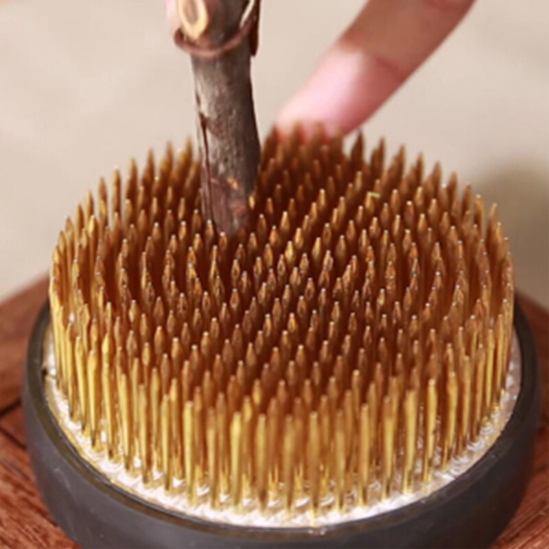 4 dimensiuni Ikebana Suport Pin Flori Decor Floral Aranjament Floral Inserare Ace de bază Artă Instrument fix Ishizaki Kenzans Pin Art