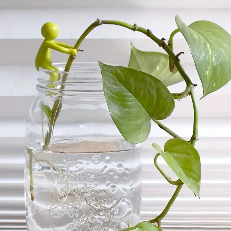 Sobib paljunduspungadele, vartele, pistikutele jne - sobib siseaedadesse ja aretusjaamadesse - kingitus taimesõpradele