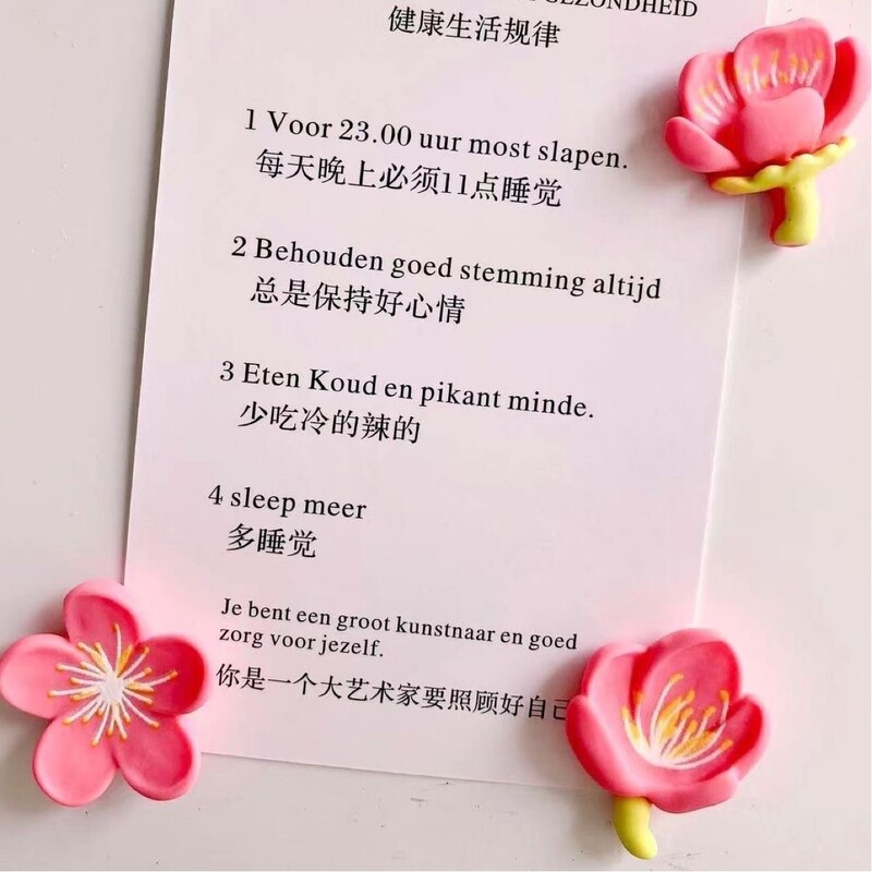 12 τμχ Λουλούδι Ψυγείο Μαγνήτης Ποιμενικής Στυλ Στερεά Ρητίνη Ψυγείο Μαγνήτης Σπιτιού Μαγνητικά αυτοκόλλητα Διακόσμηση Αναμνηστικό για νήπια