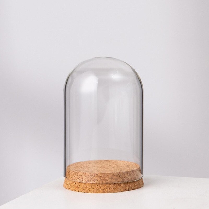 Cloche Bell Borcan Display Dome Case DIY Container Ornament Dome Cloche Cover pentru petrecere Desktop Home Office Decor