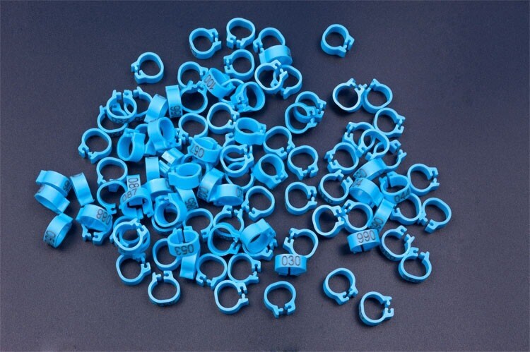 8 mm burtu baloža pēdas gredzens bajonetes numura gredzens, putnu piederumi atveres identifikācijas gredzena zīmes gredzens 10 krāsu pēc izvēles