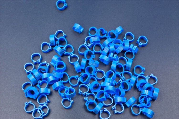 8 mm burtu baloža pēdas gredzens bajonetes numura gredzens, putnu piederumi atveres identifikācijas gredzena zīmes gredzens 10 krāsu pēc izvēles