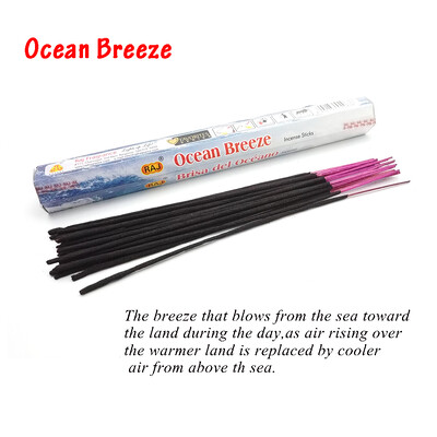 Mineraali 1 κουτί θυμίαμα ραβδί Λευκό φασκόμηλο με ινδική γεύση θυμιάματα για διαλογισμό κρεβατοκάμαρας στο σπίτι Γιόγκα Άρωμα άρωμα φρέσκου αέρα