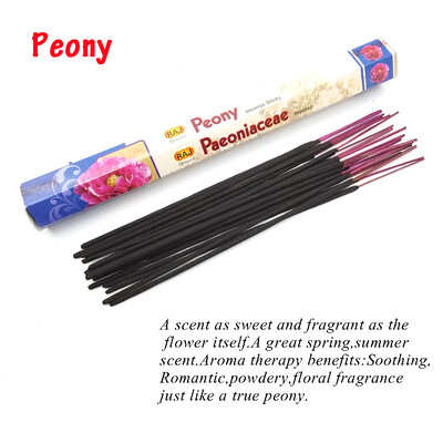 Mineraali 1 κουτί θυμίαμα ραβδί Λευκό φασκόμηλο με ινδική γεύση θυμιάματα για διαλογισμό κρεβατοκάμαρας στο σπίτι Γιόγκα Άρωμα άρωμα φρέσκου αέρα