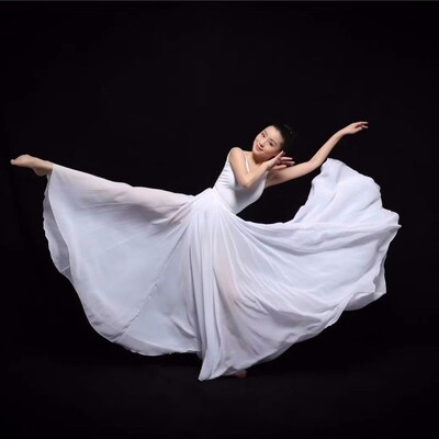 2022 Φθινόπωρο και Χειμώνας Νέες γυναίκες Flamenco Belly Dance Gypsy Solid Color Ballet Κλασική παράσταση χορού Κομψή μακριά φούστα