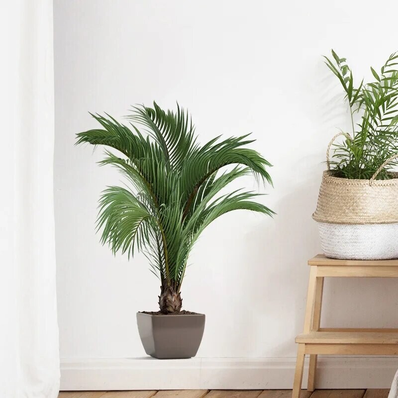 Αυτοκόλλητο αυτοκόλλητο διακοσμητικό τοίχου με φύλλα τροπικού πράσινου φυτού για το σαλόνι Vast Vinyl προθάλαμος σπιτιού Διακόσμηση Decal PVC αφίσα