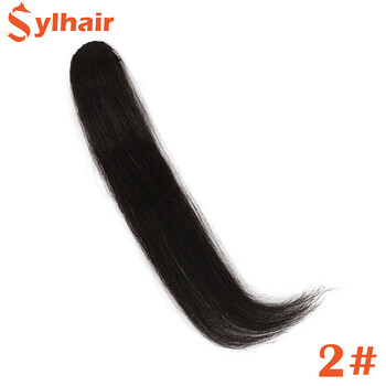 Sylhair 25-35cm Natural Invisible Fase Hair Extensions Clip In The Front Side Bangs for Women with Fake Fringe Hairpiece Bangs