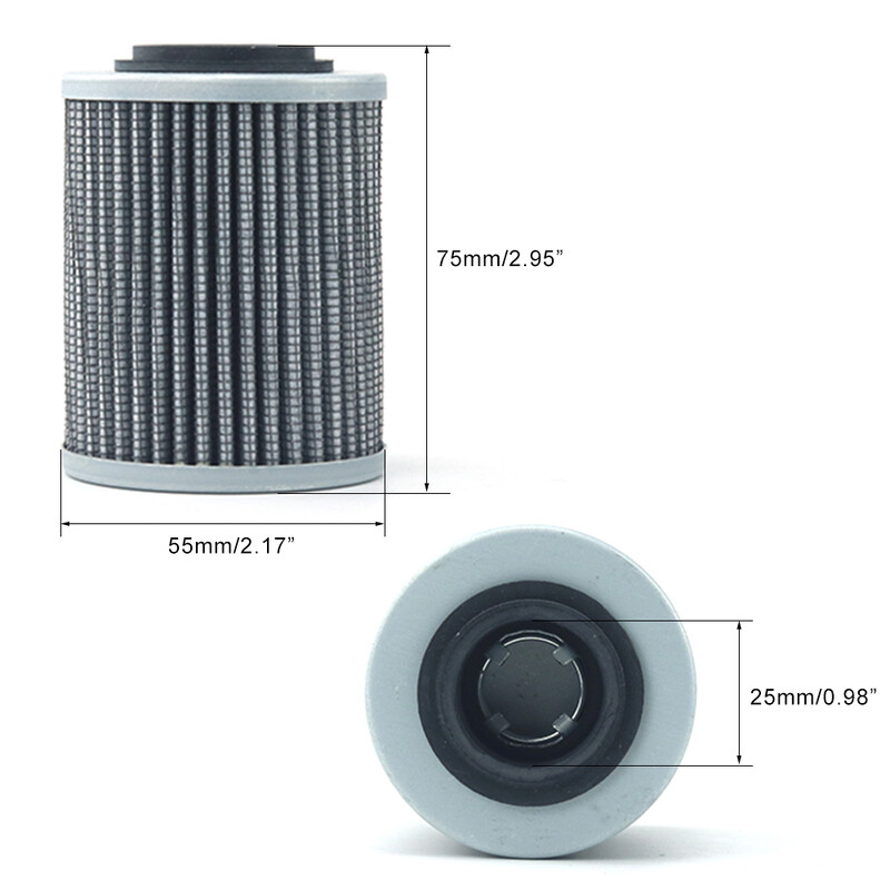 2TK/4TK 420956124 Autoõlifilter 293300086 420650500 420256188 BRP 600ACE/BRP900ACE/BRP1200 jaoks