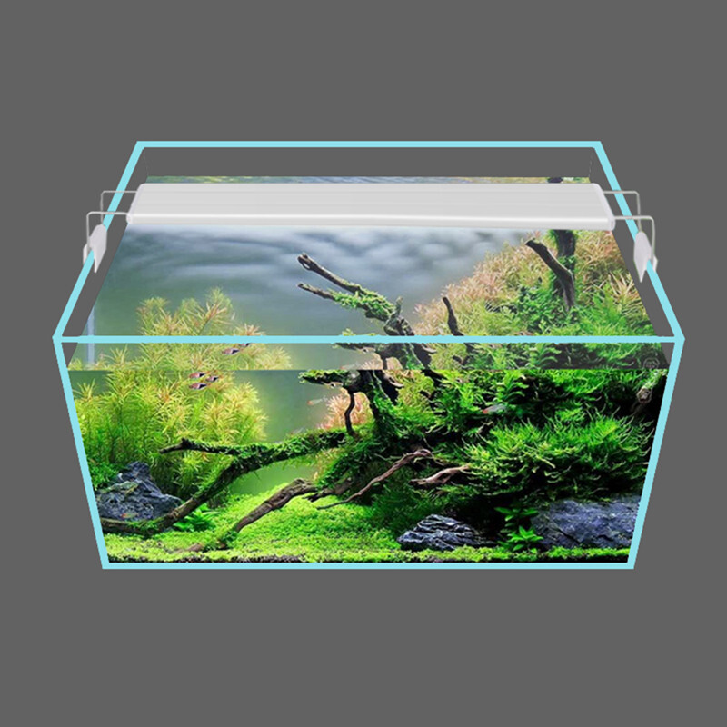 Taimekasvatusvalgustid Akvaariumi valgustid Väikesed klambrivalgustid Akvaariumi kiiritustarvikud LED-valgusti kaunistuslamp