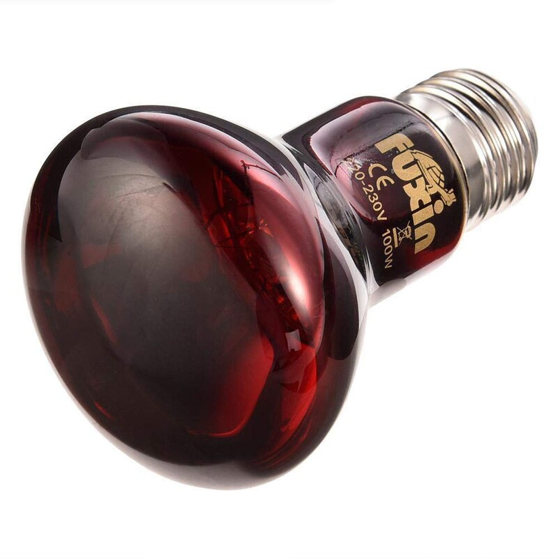 LED punaste roomajate öövalgusti UVA infrapuna soojuslamp Keraamiline pirn madu sisalikule roomajate elupaiga kaunistused Aksessuaarid