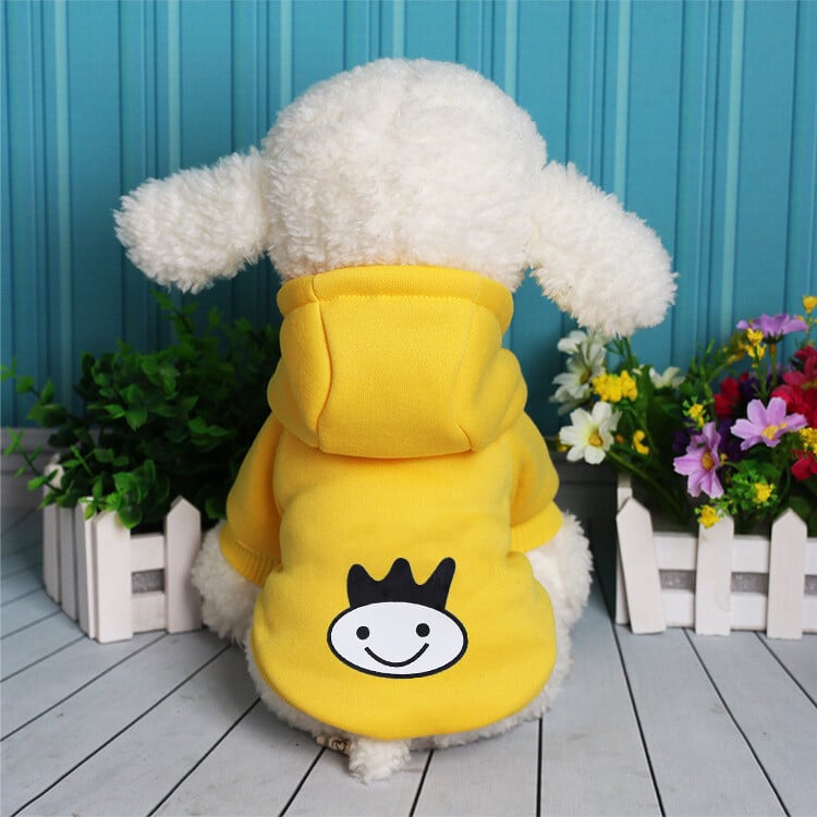 Фабрика за облекло за домашни любимци продава дрехи за кучета Teddy есен и зима нов стил суитшърт с копчета есен и зима