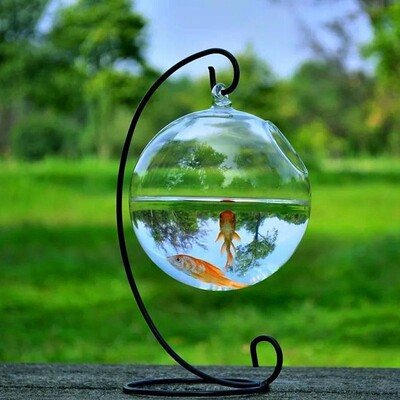 Висяща стъклена аквариумна аквариумна купа с кръгла/правоъгълна форма Прозрачна ваза Орнамент с държач за стелажи Декорация на дома