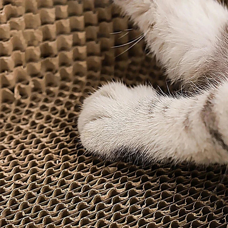 Kassi kriimustuslaud Kaitske mööblit Lihvimine Küünismänguasjad Ovaalne Lainepaber Kulumiskindel kassipesa Kassitarvikud Kassivoodi