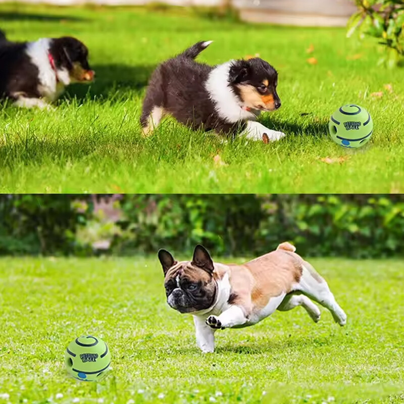 Lemmikloomade mängimine Giggle Ball siseruumides õues veerev liikumine Lemmikloomade koolitustarvikute hulgimüük Koerte piiksuv mänguasi Interaktiivsed mänguasjad koertele