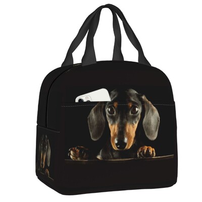 Geantă de prânz izolată Dachshund pentru femei, bursuc, cârnați, răcitor termic pentru câine, geanta pentru prânz, copii, școlari