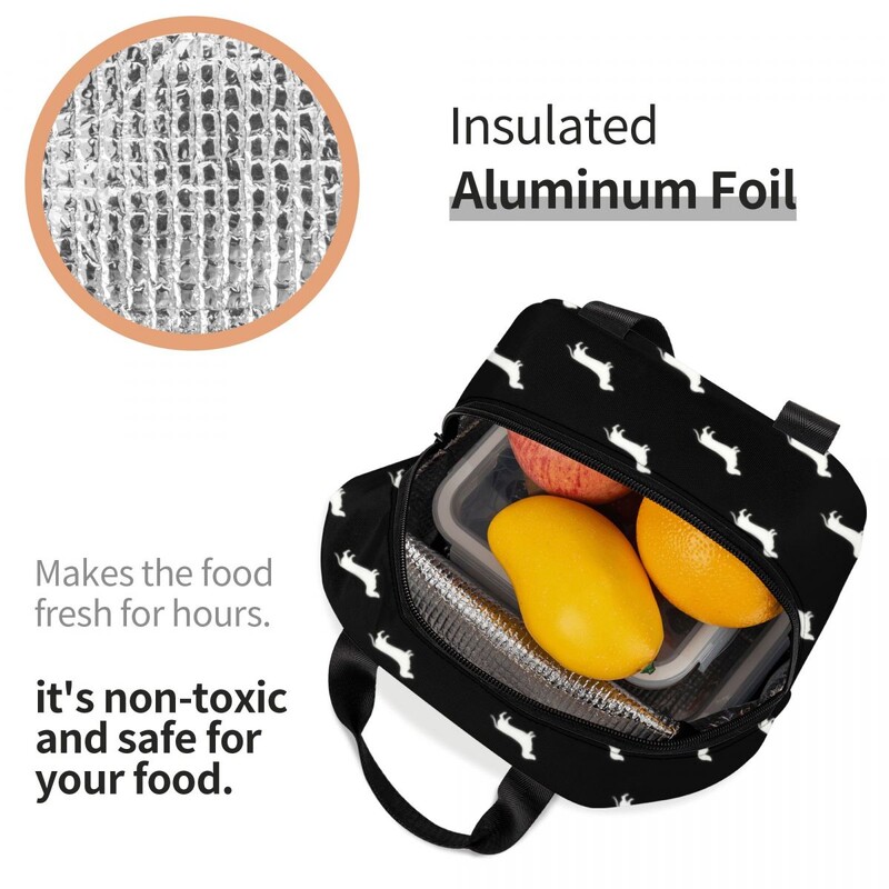 Geantă de prânz izolată Dachshund pentru femei, bursuc, cârnați, răcitor termic pentru câine, geanta pentru prânz, copii, școlari