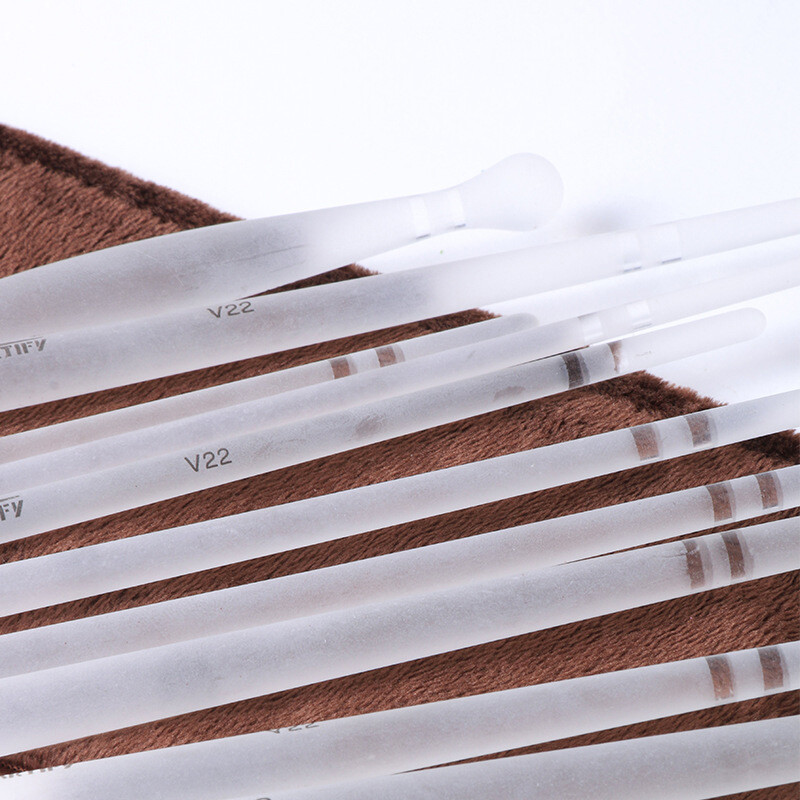 Esmaklassiline 11 tk akvarellipintslikomplekt läbipaistev pliiatsihoidja Hobuse juuksevärvi pintsliga pliiats raudkast maalimine lastele kingitused kunstitarbed