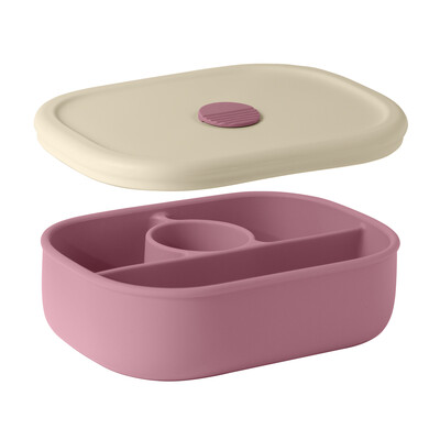 Uued kaasaskantavad lõunakarbi toidunõud lauanõud laste Bento Box lekkekindel mikrolaineahjus toitmiskauss beebitarvikud