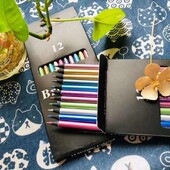 12 creioane colorate metalice colorate set de desen pentru pictură Creioane colorate pentru profesie Rechizite de artă pentru artist