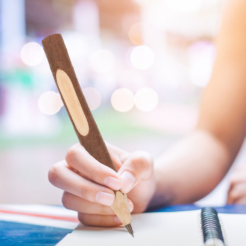 10 vnt. Natūralių medinių šakų formos medinis pieštukas mažiems vaikams skirti pieštukai, skirti vaikams šakelė Vaikai braižydami medžio žievę studentų piešimui