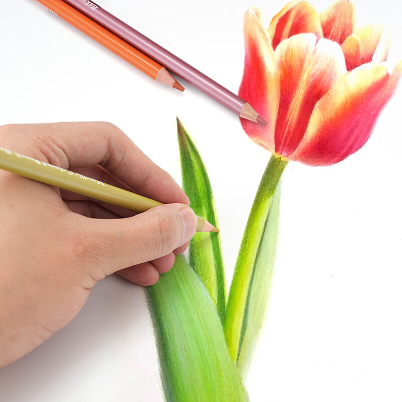 Brutfuner NOVO 72Pcs Metalik Olovke u boji Drveni crtež Skica Set mekih olovaka Olovke u boji za studente Likovni pribor