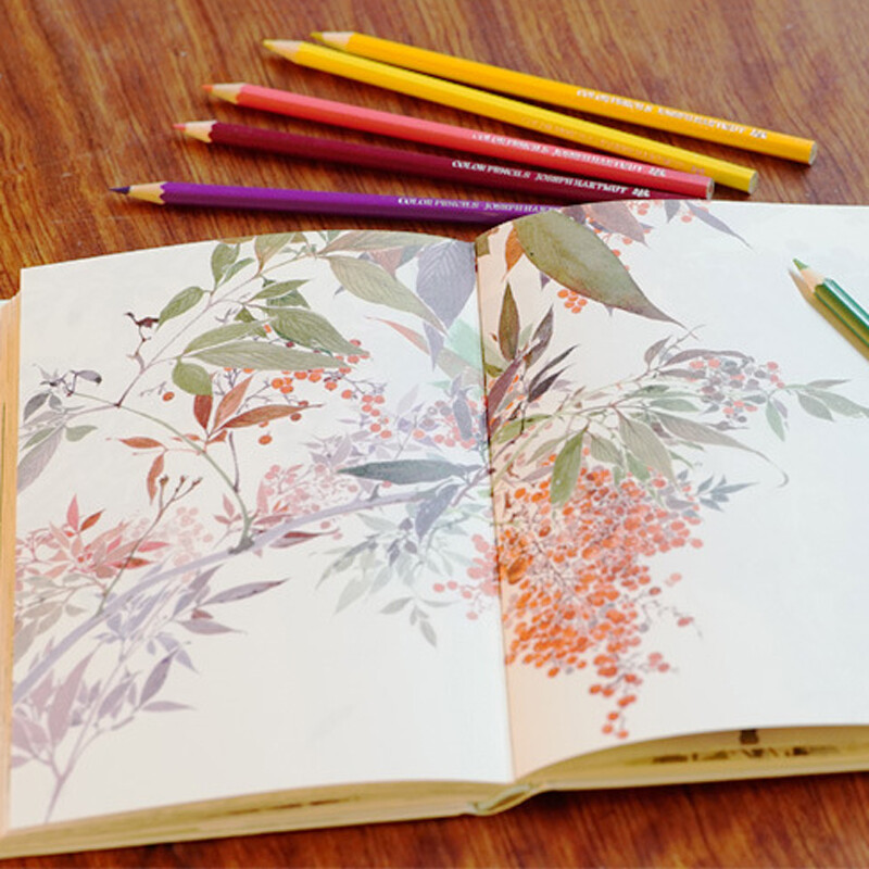 Knysna 72 Colors Mediniai spalvoti pieštukai Dailininkas pieštukų piešimo rinkinys Tapyba Aliejinių spalvų pieštukas Mokyklinis piešimas Eskizas Meno reikmenys