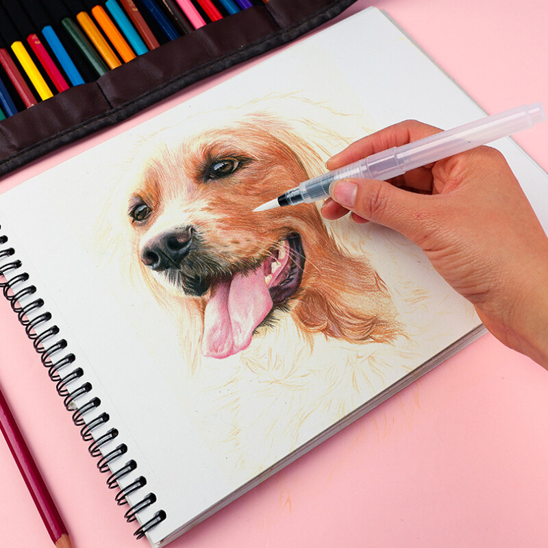 9 tk akvarellipintslite komplekt, vees lahustuv värviline pliiats Akvarellipintsel algajatele või lastele, lihtne kasutada ja täitemaal