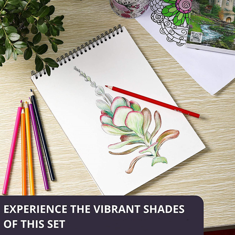 Värvilised pliiatsid joonistamiseks pliiatsikomplekt 12/24 puidust pliipliiatsiõliga joonistuskomplekt Professionaalsed koolikunstitarbed