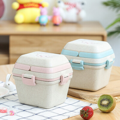 Cute Kids Lunch Box Fruit Box Multi-layer Bento Box Picnic Camping Hiking Student Kids