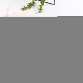 1 tk Lihtsad PP pliiatsiümbrised Kawaii suure mahutavusega pliiatsikarp Pliiatsi hoiukarp lauaarvuti kirjatarvete organiseerija koolitarbed