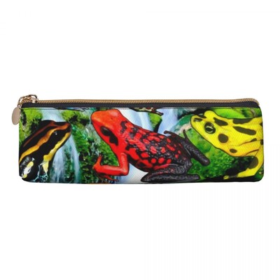 Vardes prinča raksts trīsstūrveida zīmuļa futrālis Kawaii zaļš karikatūra vardes elementāra zīmuļu kastīte meitenēm zēniem kawaii ādas pildspalvu soma