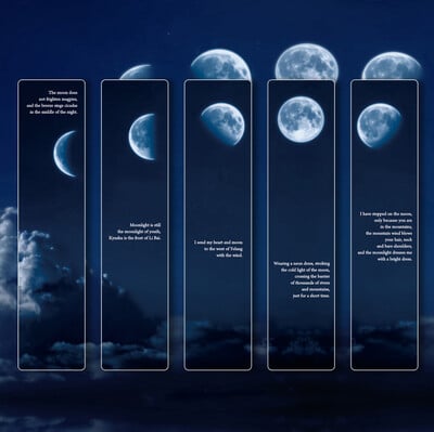 5 buc./pachet Semn de carte Roaming The Universe Semne de carte din PVC pentru citire Marcator pentru pagini de cărți creativ Materiale de papetărie