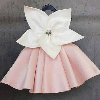 Vara 2024 Noi Fete Fără Mâneci Flori Mari Diamante Roz Drăguț Roupa Infantilă Menina Aniversare Rochie Mireasă Personalizat 12M-7T