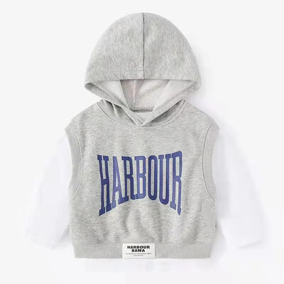 100-150 cm tinejdžeri, dječaci, jesen 2023., novi dječji moderan džemper sa slovima + prsluk s kapuljačom, dvodijelni dječji proljetno-jesenski komplet džempera