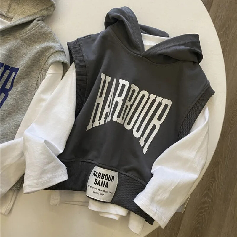 100-150 cm tinejdžeri, dječaci, jesen 2023., novi dječji moderan džemper sa slovima + prsluk s kapuljačom, dvodijelni dječji proljetno-jesenski komplet džempera