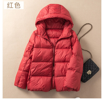 SEDUTMO Winter Plus Size 3XL Oversize Paks Duck Down Coat Naiste Lühike Slim jope Sügisene vabaaja jope Parkas ED1291