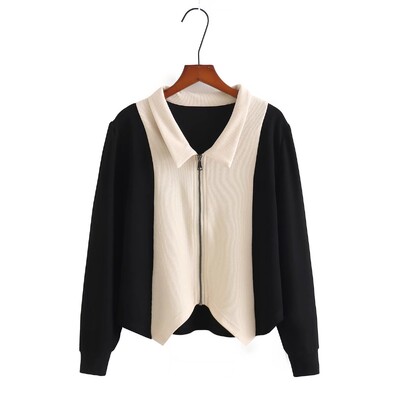 Suur naiste 2022. aasta kevadine uusmoodne Lapel õhuke Plus Size kampsun