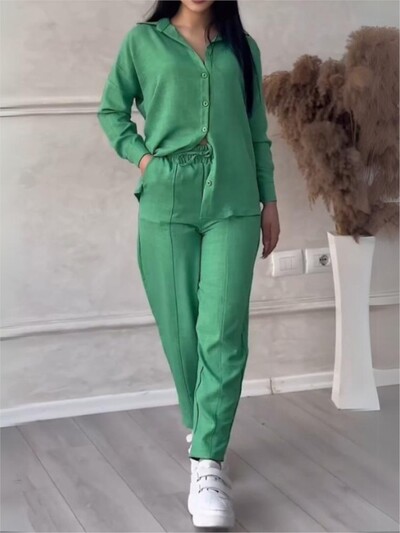 Φθινοπωρινό χειμερινό νέο μονόχρωμο μακρυμάνικο πουκάμισο Γυναικείο κοστούμι μόδας απλό μικρό παντελόνι πόδι Γυναικείο σετ γραφείου 2 τεμαχίων