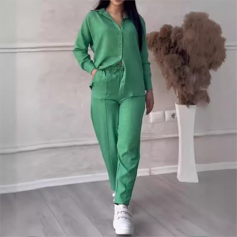 Φθινοπωρινό χειμερινό νέο μονόχρωμο μακρυμάνικο πουκάμισο Γυναικείο κοστούμι μόδας απλό μικρό παντελόνι πόδι Γυναικείο σετ γραφείου 2 τεμαχίων