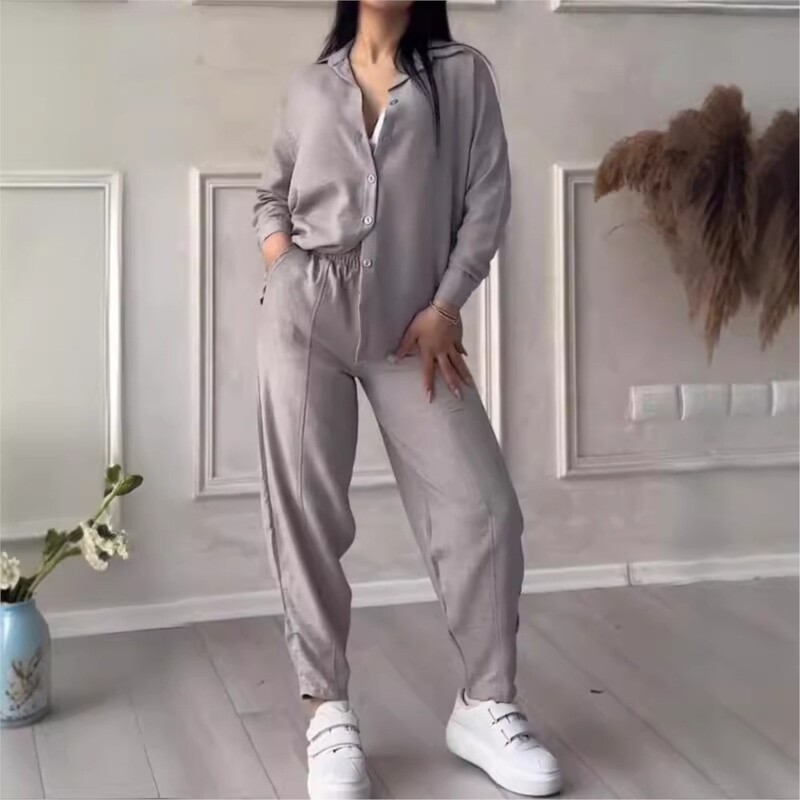 Φθινοπωρινό χειμερινό νέο μονόχρωμο μακρυμάνικο πουκάμισο Γυναικείο κοστούμι μόδας απλό μικρό παντελόνι πόδι Γυναικείο σετ γραφείου 2 τεμαχίων