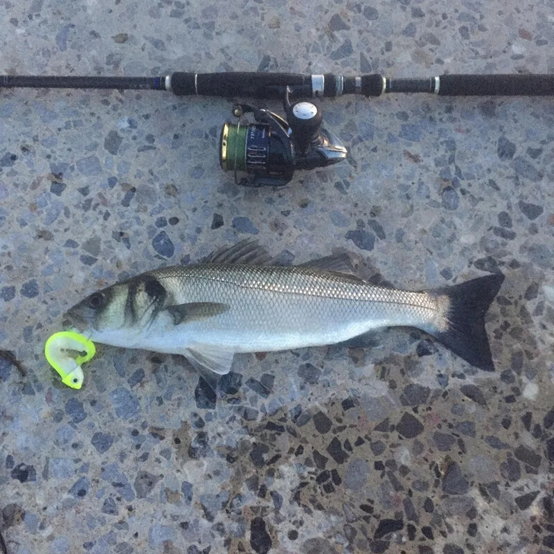 Fangbait žvejybos masalas 2024 black minnow 15g 30g jig head soft masalas dropshipping masalas ešeryms black minnow minnow masalas