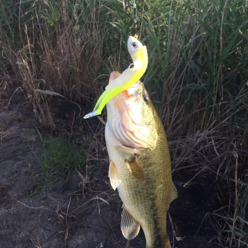 15g 30g JIG Head Pehme sööt Texas Black Minnow koos 2/0 ussikonksudega Swimbait Paddle Tail Fishing sööt Bass Lands Vooblerid