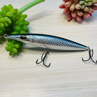 Teknik Fishing Lure 2024 Plutajući mamac s olovkom 90/110/130 mm Stickbait Asturies Wobbler Topwater asturie Mamci za palamide brancina