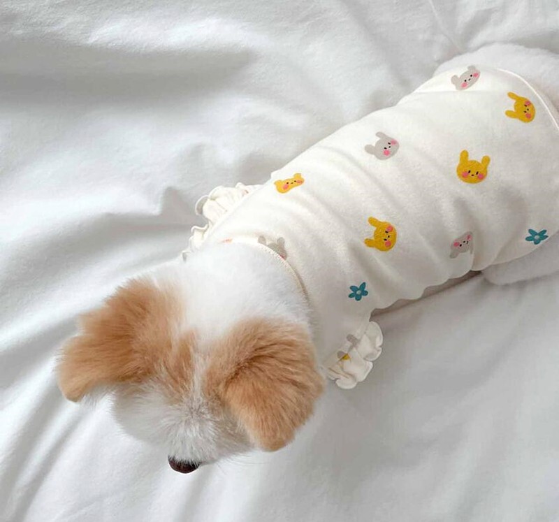 Kevadine õhuke kassi väike lendav varrukas vest Koer Kahe jalaga riided Väikesed ja keskmised koerad kutsikad ja kassid Sügisene lemmikloomariided