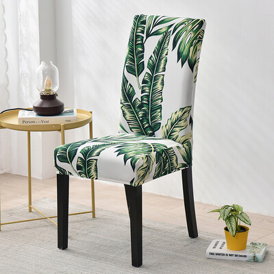 Prinditud Spandex Rainforest tooli kate Stretch universaalne vaba aja söögitoa istmekatted köögi kodu kaunistamiseks