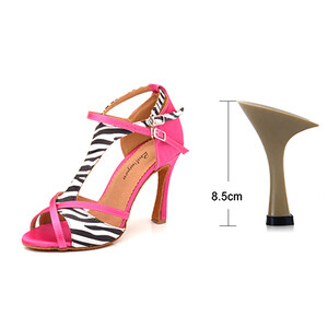 Ladingwu Pantofi de dans Latină Femei Salsa Pantofi de dans Fete Performanță de petrecere Pantofi de dans profesionali Soft Bottom Ballroom