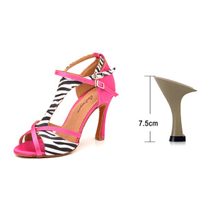 Ladingwu Pantofi de dans Latină Femei Salsa Pantofi de dans Fete Performanță de petrecere Pantofi de dans profesionali Soft Bottom Ballroom